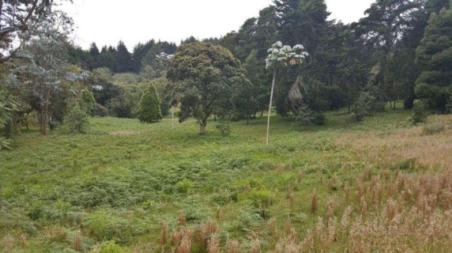 Lote en venta en Los Colegios, Rionegro · foto 4 de 12
