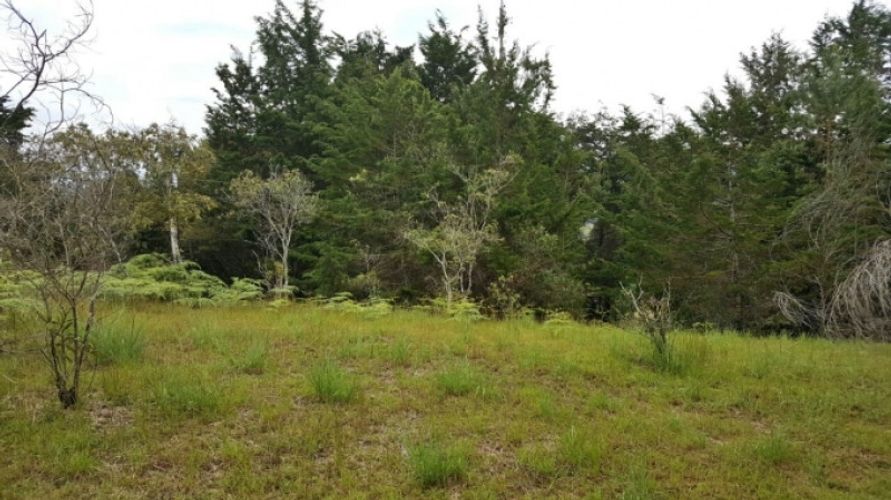 Lote en venta en Los Colegios, Rionegro · foto 5 de 12