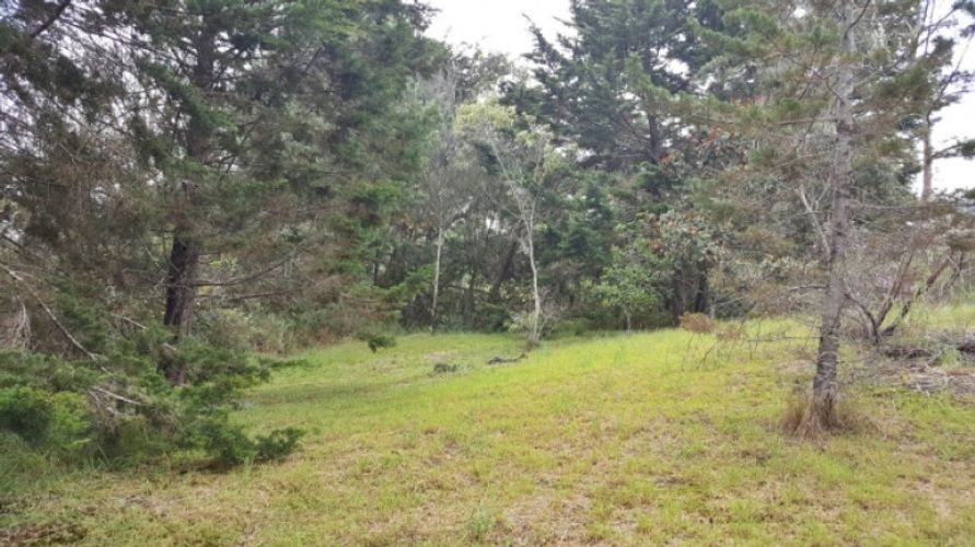 Lote en venta en Los Colegios, Rionegro · foto 6 de 12