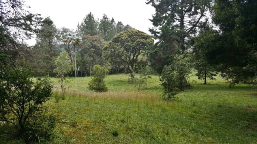 Lote en venta en Los Colegios, Rionegro · foto 7 de 12