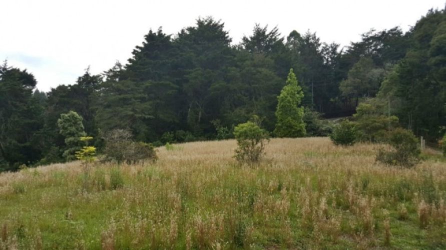 Lote en venta en Los Colegios, Rionegro · foto 8 de 12