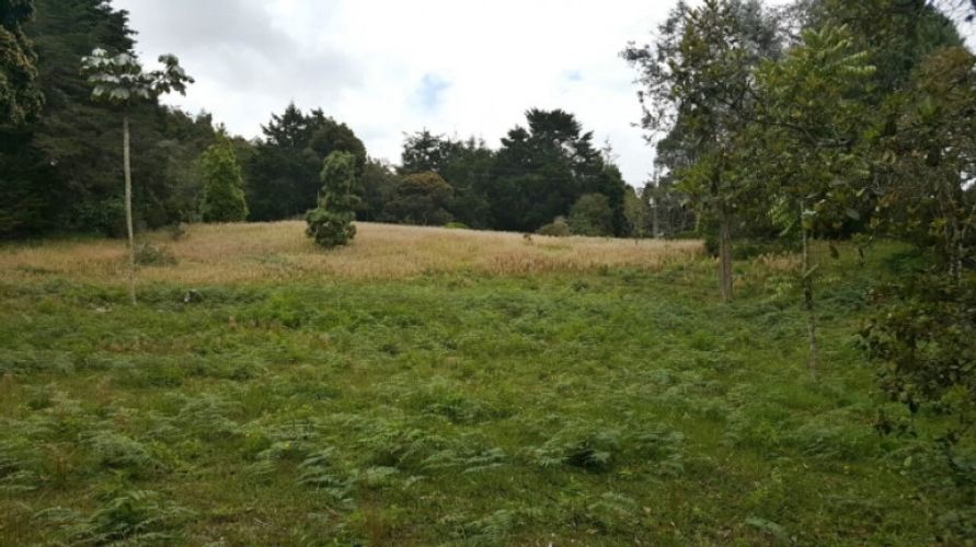 Lote en venta en Los Colegios, Rionegro · foto 9 de 12