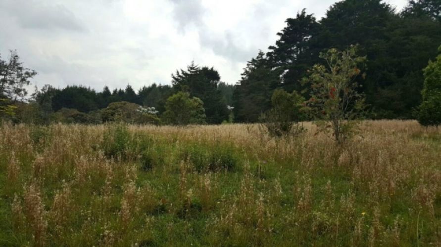 Lote en venta en Los Colegios, Rionegro · foto 10 de 12