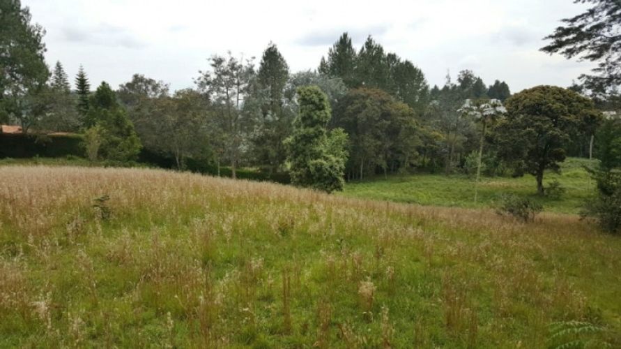 Lote en venta en Los Colegios, Rionegro · foto 11 de 12