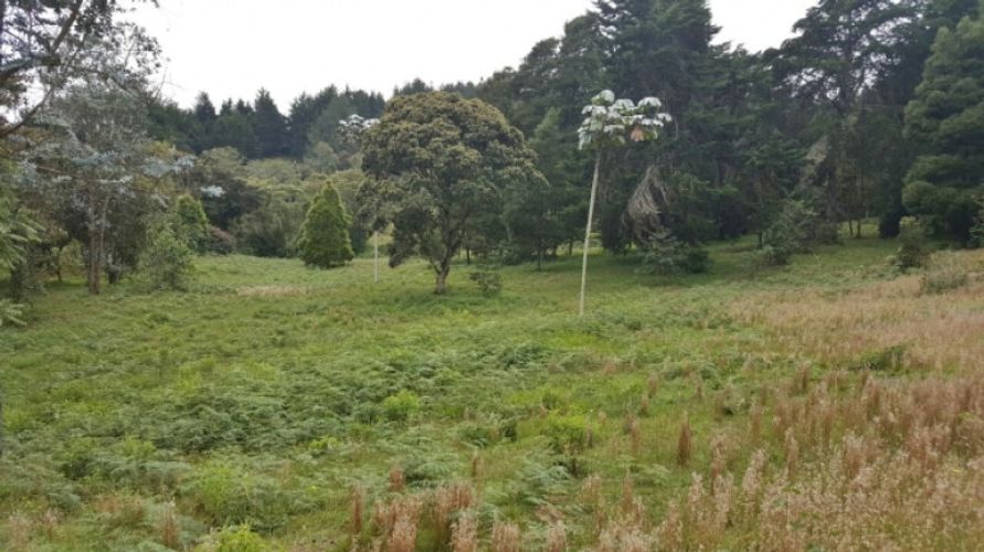Lote en venta en Los Colegios, Rionegro · foto 12 de 12