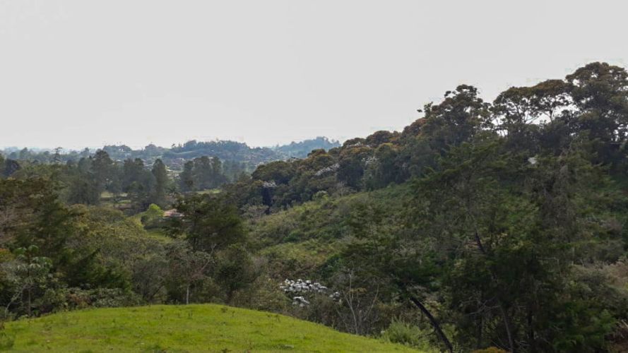 Lote en venta en Llano Grande, Rionegro · foto 2 de 3