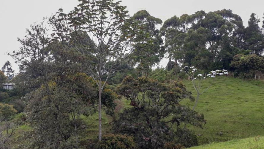 Lote en venta en Llano Grande, Rionegro · foto 3 de 3