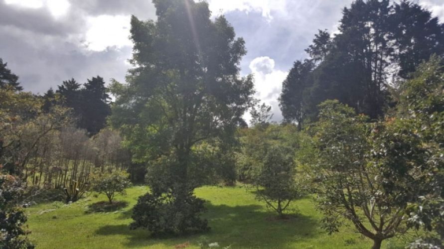 Lote en venta en Los Colegios, Rionegro · foto 2 de 19