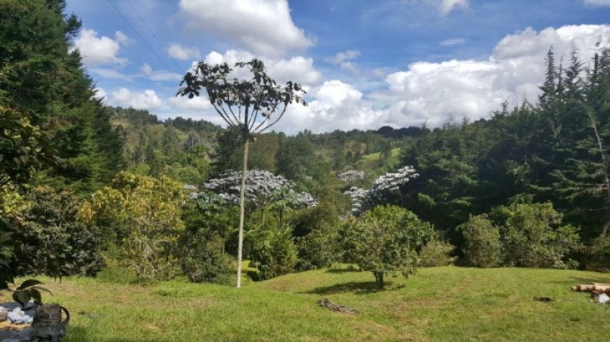 Lote en venta en Los Colegios, Rionegro · foto 3 de 19