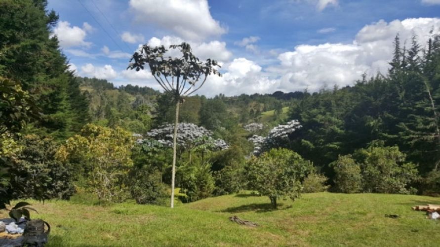 Lote en venta en Los Colegios, Rionegro · foto 4 de 19