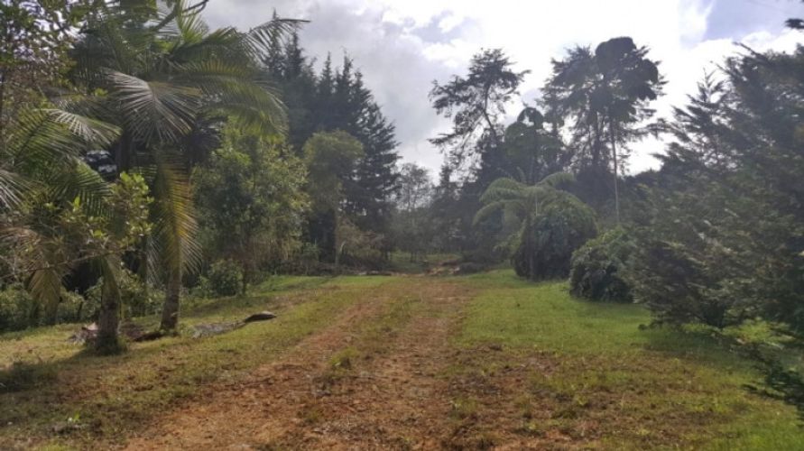 Lote en venta en Los Colegios, Rionegro · foto 6 de 19