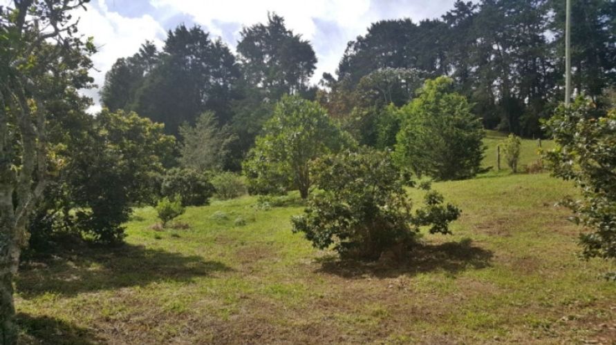 Lote en venta en Los Colegios, Rionegro · foto 7 de 19