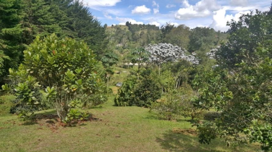 Lote en venta en Los Colegios, Rionegro · foto 8 de 19