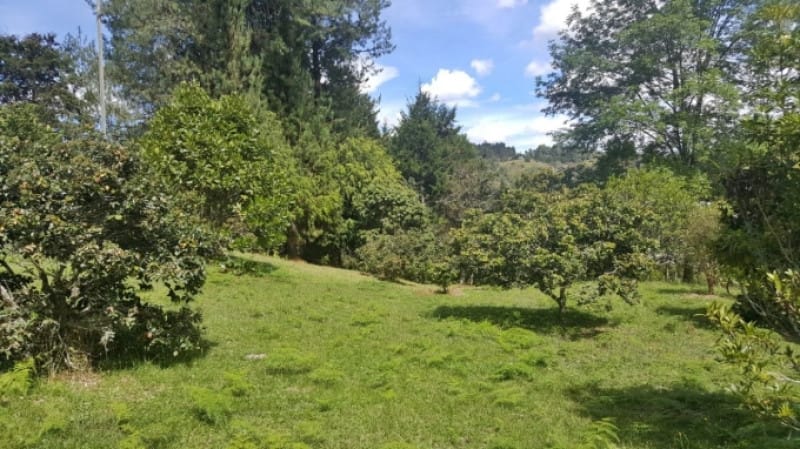 Lote en venta en Los Colegios, Rionegro · foto 9 de 19