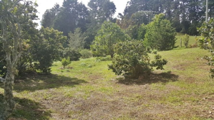 Lote en venta en Los Colegios, Rionegro · foto 10 de 19