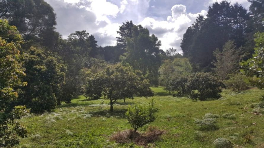 Lote en venta en Los Colegios, Rionegro · foto 11 de 19