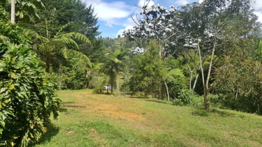 Lote en venta en Los Colegios, Rionegro · foto 12 de 19