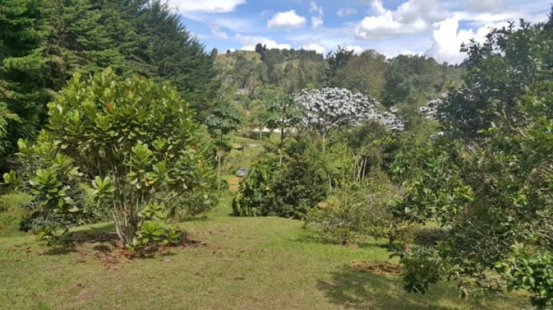 Lote en venta en Los Colegios, Rionegro · foto 19 de 19