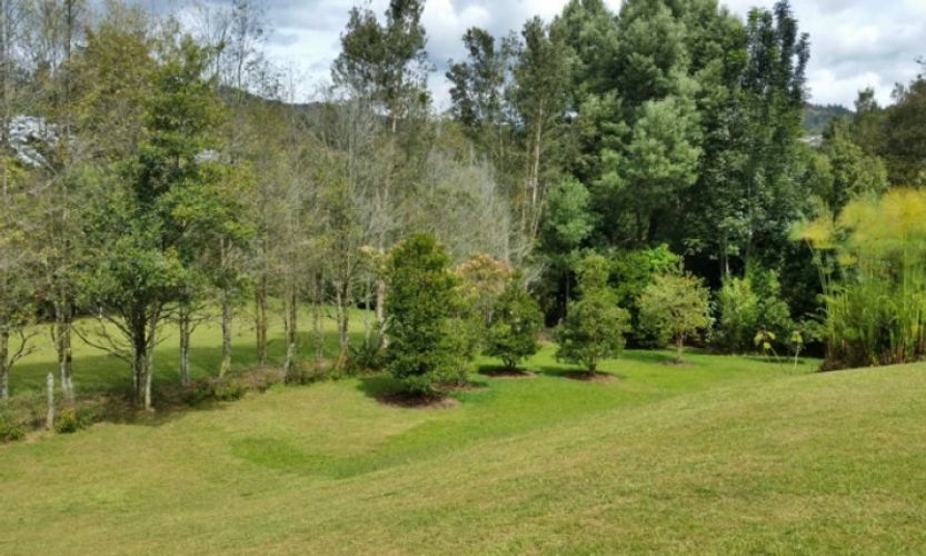 Finca en venta en Los Colegios, Rionegro, 280 m² · foto 16 de 16