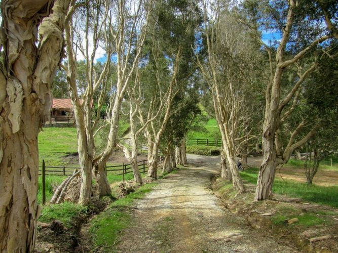 Finca en venta en Los Colegios, Rionegro, 550 m² · foto 14 de 18
