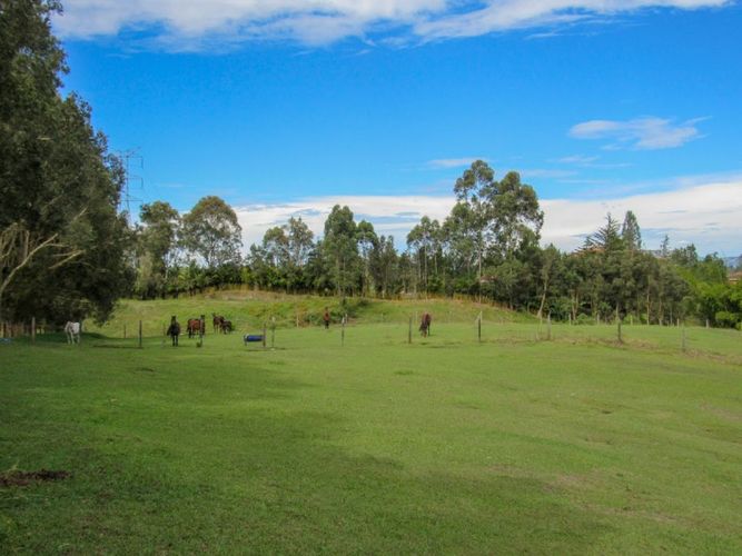 Finca en venta en Los Colegios, Rionegro, 550 m² · foto 17 de 18