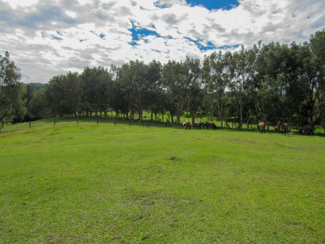 Finca en venta en Los Colegios, Rionegro, 550 m² · foto 18 de 18
