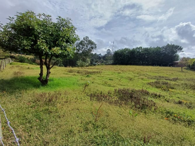 Finca en venta en El Porvenir, Rionegro, 350 m² · foto 12 de 16