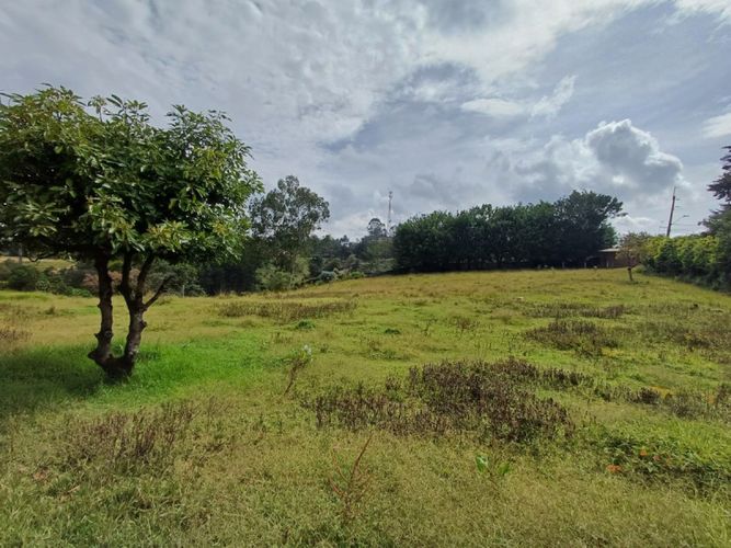 Finca en venta en El Porvenir, Rionegro, 350 m² · foto 16 de 16
