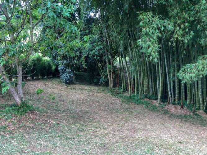 Lote en venta en El Porvenir, Rionegro · foto 7 de 7