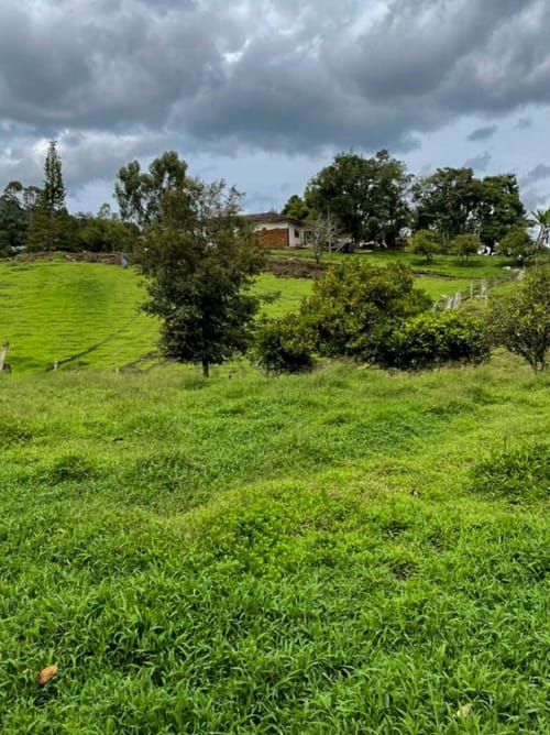 Lote en venta en La Ceja · foto 5 de 5