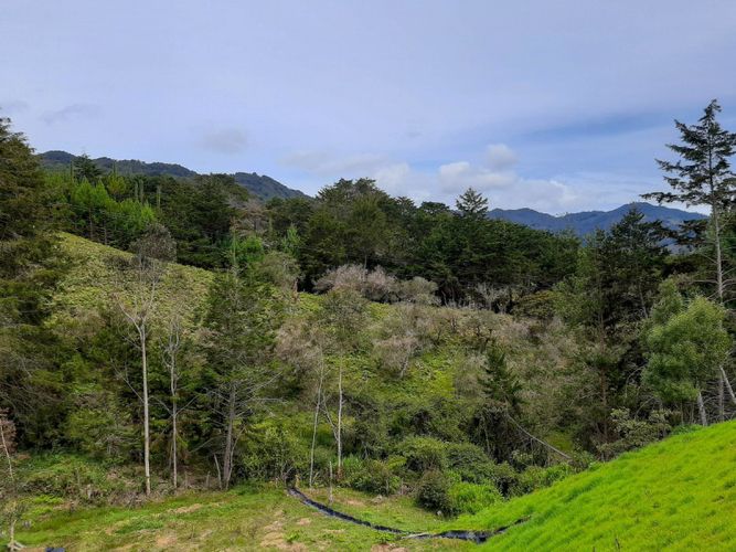 Lote en venta en Centro, Rionegro · foto 3 de 3