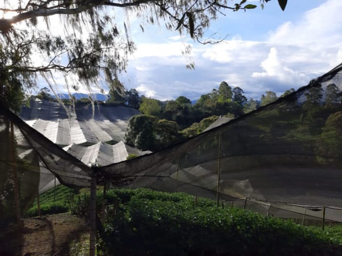 Lote en venta en El Porvenir, Rionegro · foto 2 de 10
