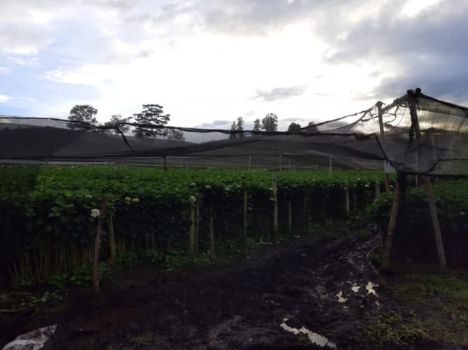 Lote en venta en El Porvenir, Rionegro · foto 3 de 10