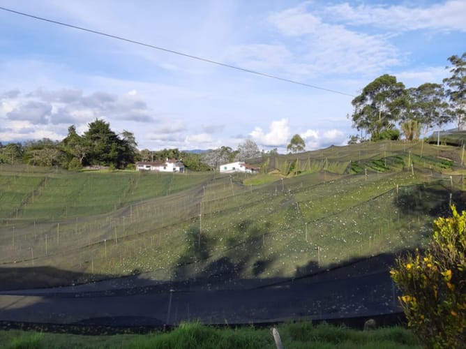 Lote en venta en El Porvenir, Rionegro · foto 4 de 10