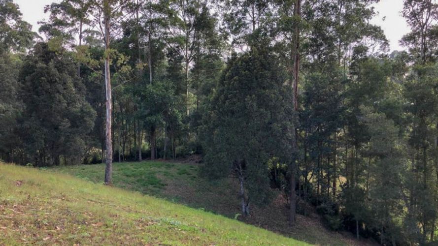 Lote en venta en Llano Grande, Rionegro · foto 2 de 4