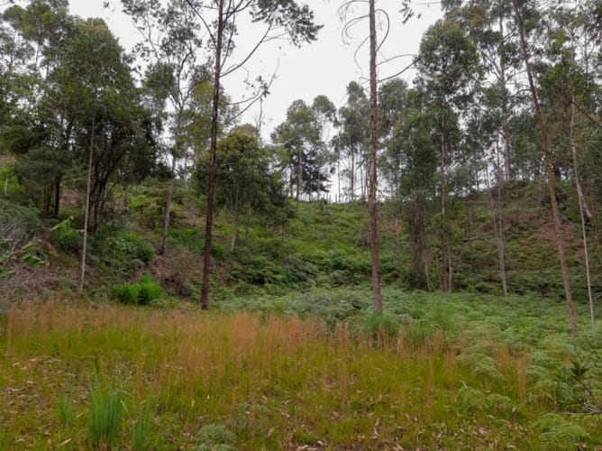 Lote en venta en Belchite, Rionegro · foto 2 de 3