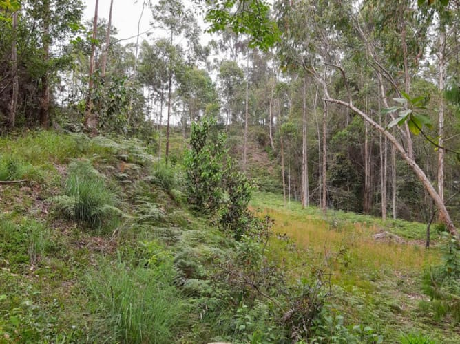 Lote en venta en Belchite, Rionegro · foto 3 de 3