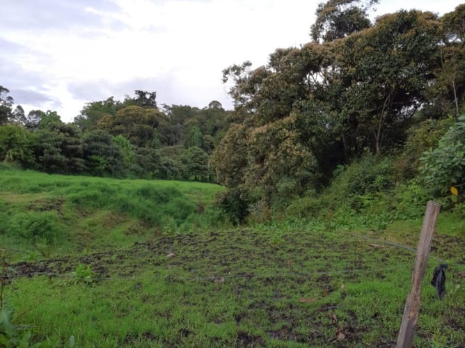 Lote en venta en El Porvenir, Rionegro · foto 6 de 10