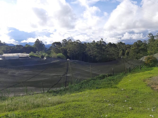 Lote en venta en El Porvenir, Rionegro · foto 7 de 10