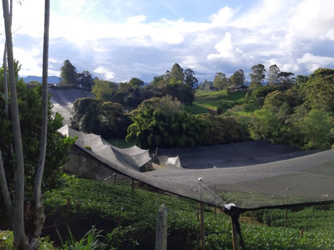 Lote en venta en El Porvenir, Rionegro · foto 9 de 10