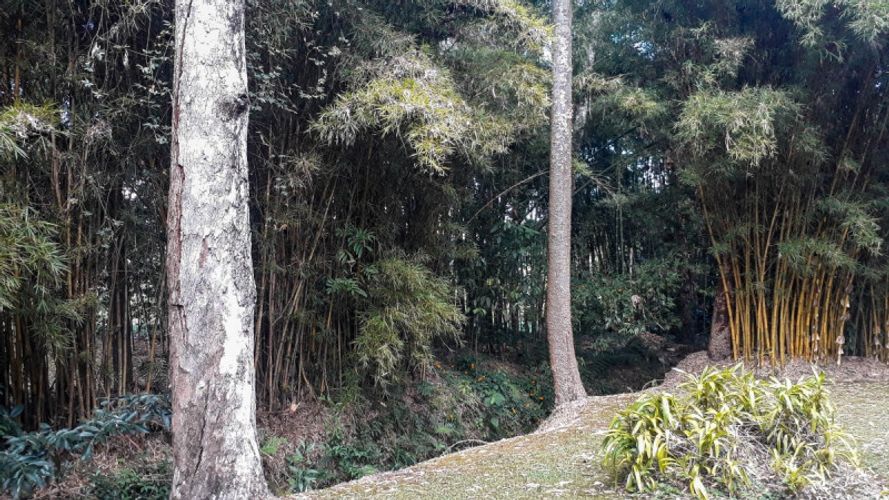 Finca en venta en Pantanillo, El Retiro, 1200 m² · foto 4 de 8
