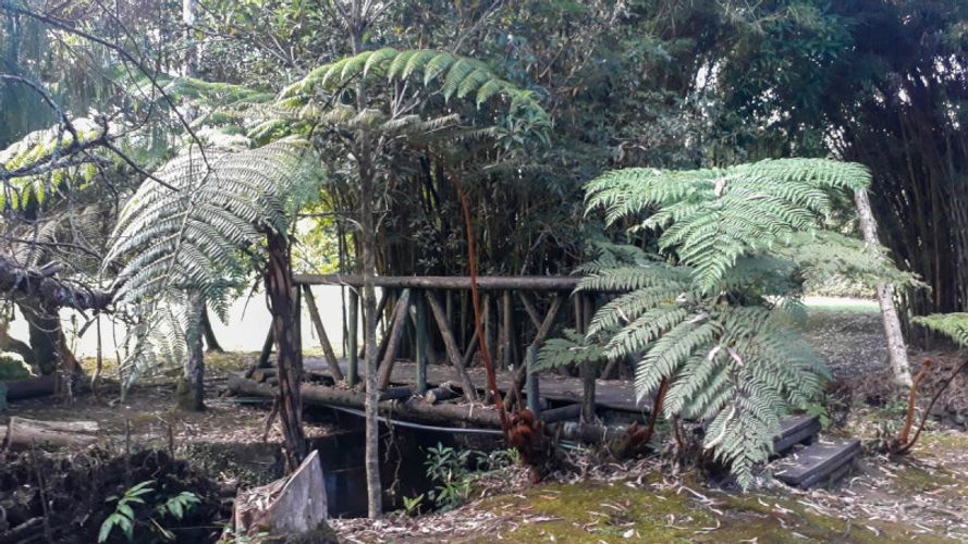 Finca en venta en Pantanillo, El Retiro, 1200 m² · foto 5 de 8