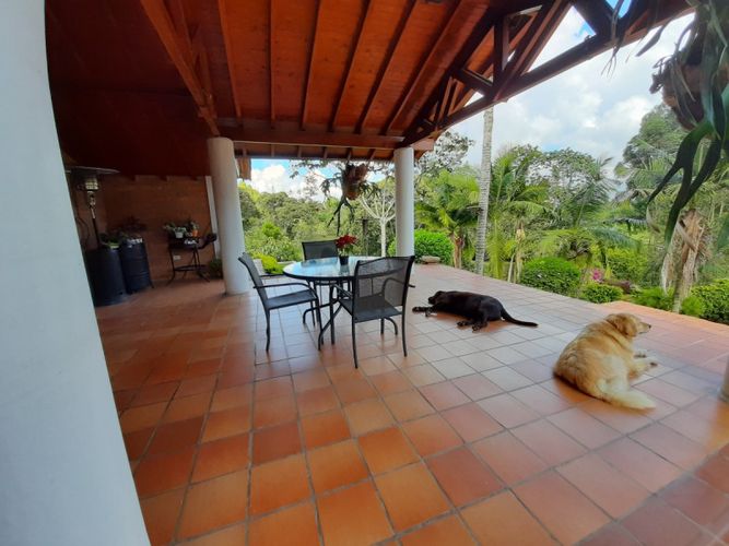 Finca en venta en Tablacito, Rionegro, 350 m² · foto 13 de 16