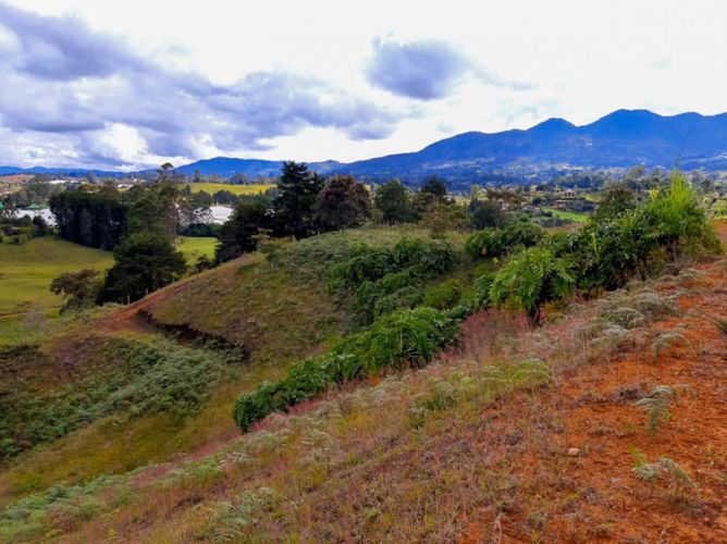 Lote en venta en El Porvenir, Rionegro, 84500 m² · foto 2 de 12