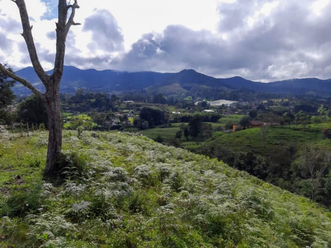 Lote en venta en El Porvenir, Rionegro, 84500 m² · foto 6 de 12