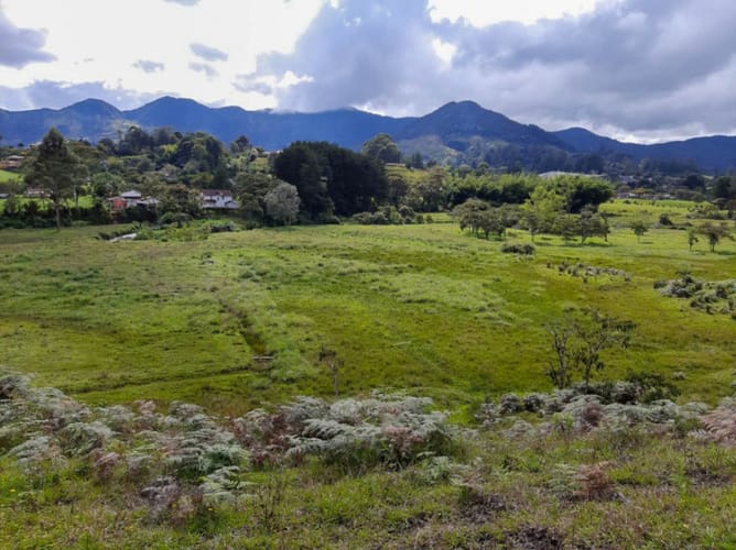 Lote en venta en El Porvenir, Rionegro, 84500 m² · foto 7 de 12