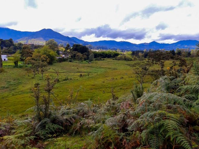 Lote en venta en El Porvenir, Rionegro, 84500 m² · foto 8 de 12