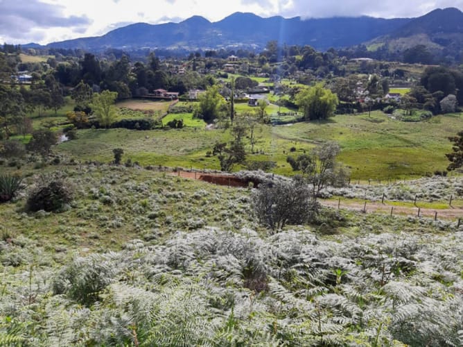 Lote en venta en El Porvenir, Rionegro, 84500 m² · foto 9 de 12