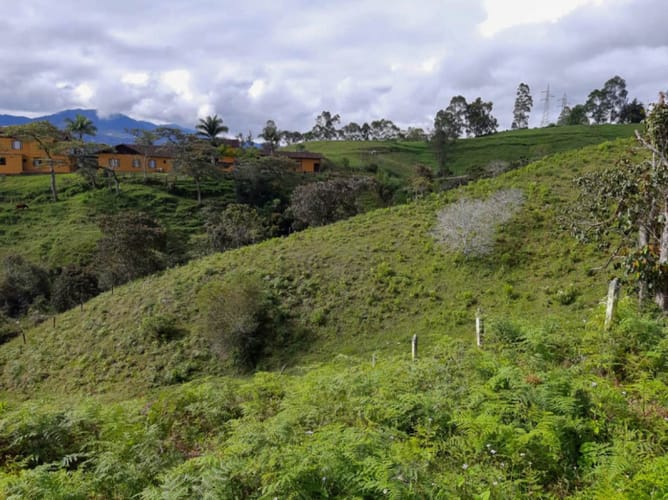 Lote en venta en El Porvenir, Rionegro, 84500 m² · foto 10 de 12