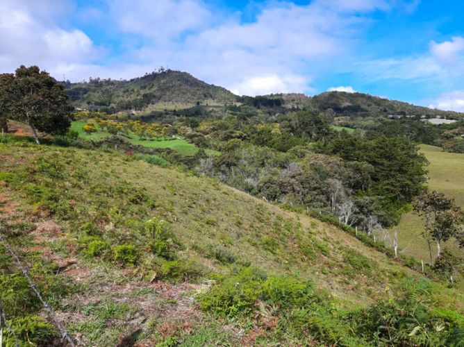 Lote en venta en El Porvenir, Rionegro, 84500 m² · foto 11 de 12